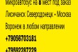 Микроавтобус на 8 мест под заказ 